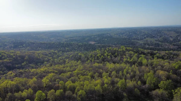 Vzdušný Pohled Velké Svěží Lesy Hustými Stromy Modrém Pozadí Oblohy — Stock fotografie