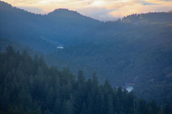 Ein Schöner Blick Auf Dichten Wald Unter Bewölktem Himmel — Stockfoto