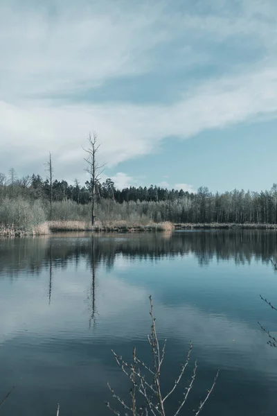 Uma Paisagem Vertical Lago Azul Com Árvores Refletindo Redor Contra — Fotografia de Stock