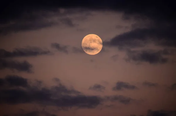 Moon Närbild Visar Detaljer Lunar Yta — Stockfoto