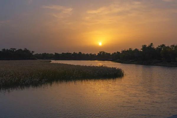 Een Avond Uitzicht Een Rivier Een Wetland Met Zon Schijnt — Stockfoto