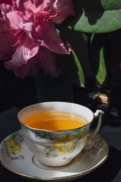 Вінтажний Чай Ромашковим Чаєм Рожевий Квітка Рододендрона Темний Фон — стокове фото