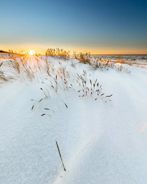 在日出的背景下 一片覆盖着雪和伸出来的植物的田野的垂直的照片 — 图库照片