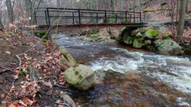 Ilsenburg, Saksonya-Anhalt, Almanya 'da Ilse Nehri' nin güzel bir manzarası