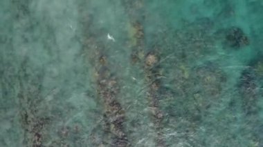 Margarita Adası yakınlarındaki Karayip Denizi 'nin sığ kısmının havadan görüntüsü.