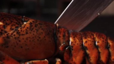 Profesyonel bir şefin çiğ ıstakozu keserken çekilmiş yavaş çekim videosu.