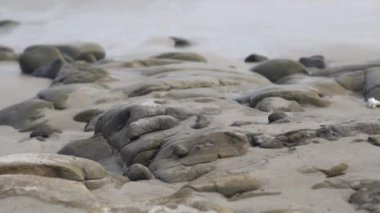 Margarita Adası, Karayipler 'de bir sahil manzarası