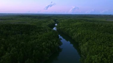 Gündoğumunda Avustralya, Darwin City 'de Buffalo Creek' in manzaralı bir çekimi.
