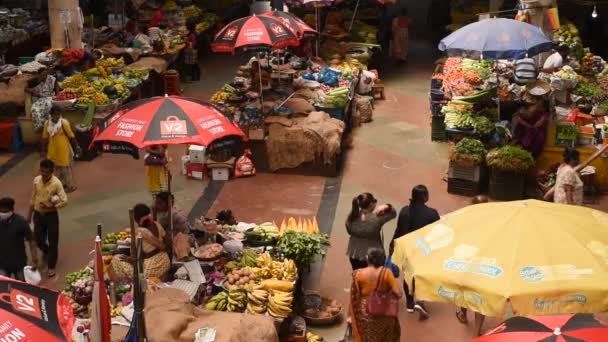 Beelden Van Indiase Groente Fruitverkopers Die Hun Product Verkopen Aan — Stockvideo