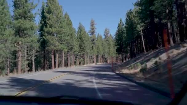 Pov秋の晴れた日に北カリフォルニアの森林道路に沿って運転 常緑樹が並ぶ森の道のプレート — ストック動画