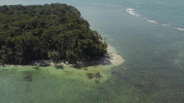 Съемка Беспилотника Национального Парка Кахуита Лимоне Коста Рика — стоковое видео