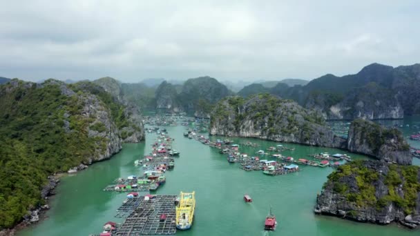Mercato Galleggiante Circondato Colline Cat Island Vietnam — Video Stock