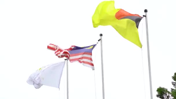 Les Trois Différents Drapeaux Agitant Vent Port Dickson État Negeri — Video