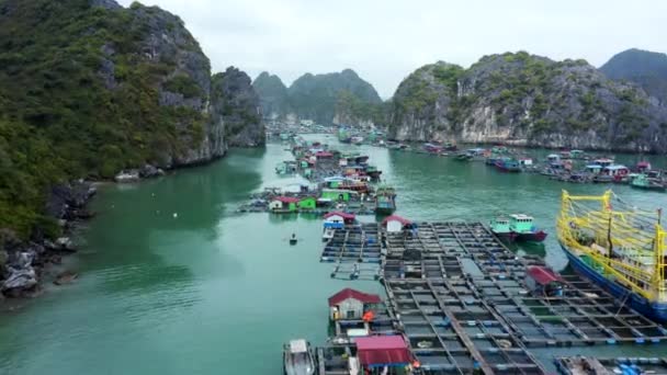 ベトナムのキャット バ島の丘に囲まれた水上市場 — ストック動画