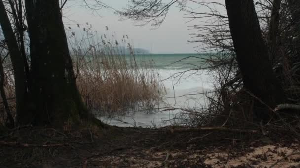 Pohled Zamrzlé Jezero Biel Zimním Počasí Lesa Stromů — Stock video
