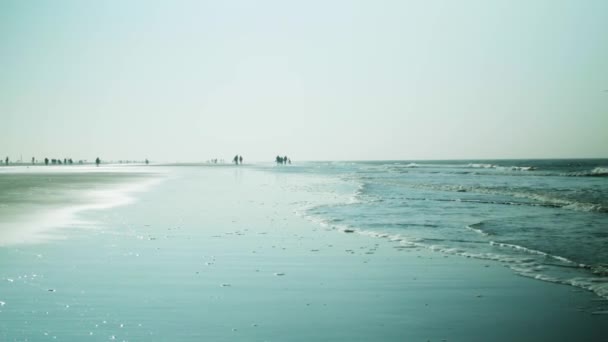 Strand Peter Ording Mulen Dag — Stockvideo