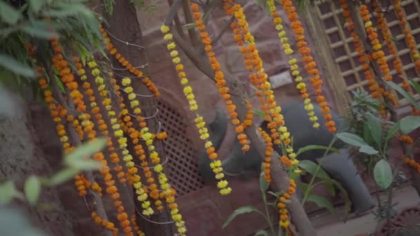 Guirlandas Flores Calêndula Laranja Amarela Penduradas Nos Ramos — Vídeo de Stock