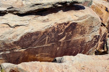 Petrified Forest Ulusal Parkı, Arizona 'da Puebloanlar tarafından oyulmuş güneş ışığı altındaki antik petroglifler.