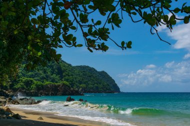 Trinidad ve Tobago 'daki mavi gökyüzünün altındaki Castara Körfezi' nin büyüleyici manzarası.