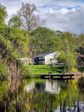 Ormandaki gölette yansıması olan bir evin dikey görüntüsü.
