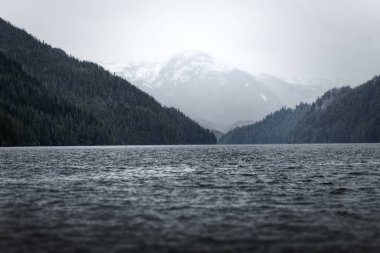 Galler Adası, Britanya Kolumbiyası, Kanada yakınlarındaki engebeli su manzarası