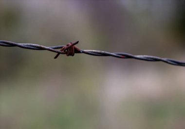 Bulanık arkaplanlı, paslı, babwire metalin yüzeysel odak noktası.