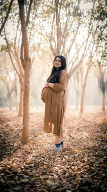 9 aylık hamile bir Hintli kadının elleri karnında dikey çekimi.