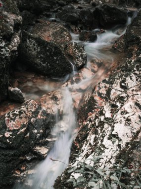 Gündüz vakti ormanda kayaların üzerinde akan küçük bir derenin güzel manzarası.