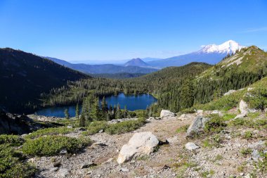 Ağaçlarla çevrili sakin bir göl manzarası.