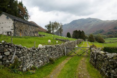 Kuru taş duvarlarla çevrili bir patika ve arka planda dağlar olan bir çiftlik kapısı, Lake District, İngiltere