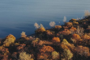 Güneşli bir günde sonbahar ağaçlarıyla dolu güzel bir göl ve orman manzarası.
