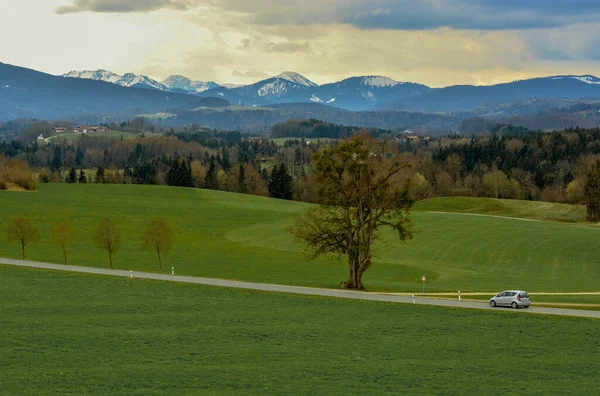 Een Adembenemend Gebied Heeft Groen Landschap Met Kleine Auto Weg — Stockfoto