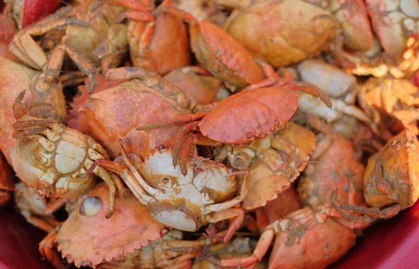 Gestoomde Krabben Een Rode Kom — Stockfoto