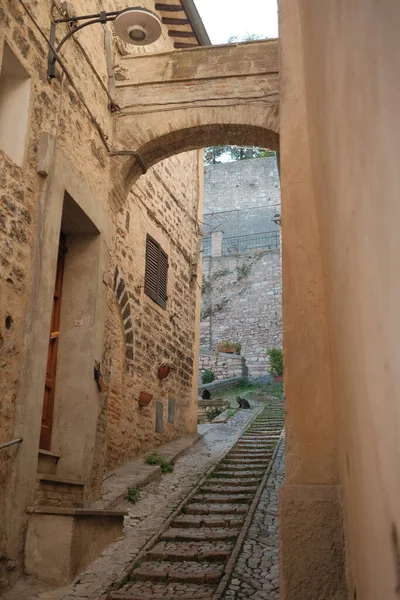 Een Verticaal Schot Van Smalle Straat Assisi Italië — Stockfoto