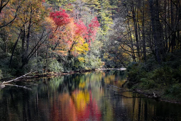 森に沿って川で撮影された美しい秋の森の自然景観 — ストック写真