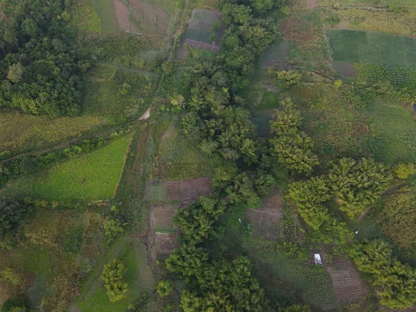 Een Luchtfoto Van Het Landschap Van Groene Velden Groene Bomen — Stockfoto