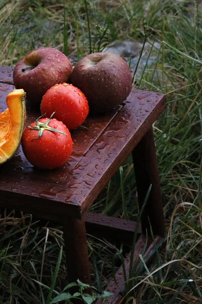 Bahçedeki Ahşap Sandalyeye Damlayan Domates Elma Manzarası — Stok fotoğraf