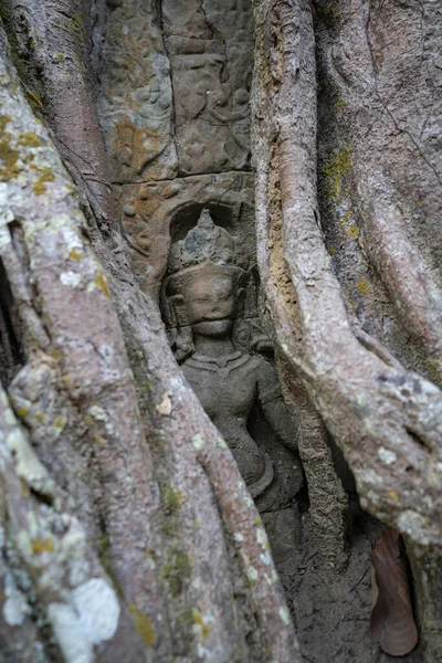 アンコールワット仏寺の壁の装飾品の垂直閉鎖 カンボジアのシェムリアップ — ストック写真