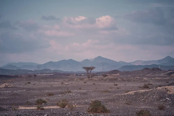 Kilátás Hegység Sivatagban Szemben Felhős — Stock Fotó