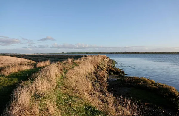 Una Vista Panorámica Largo Sendero Junto Río Crouch Essex Reino —  Fotos de Stock