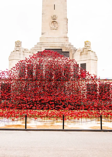 Vertikal Bild Våg Keramiska Vallmo Plymouth Hoe Navy War Memorial — Stockfoto