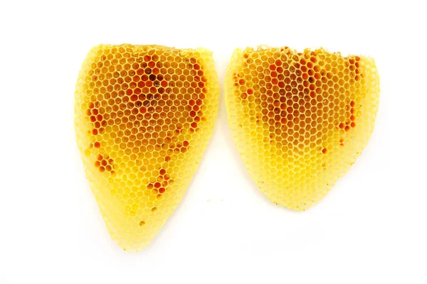 Honeycombs Isolated White Background — Stock Photo, Image