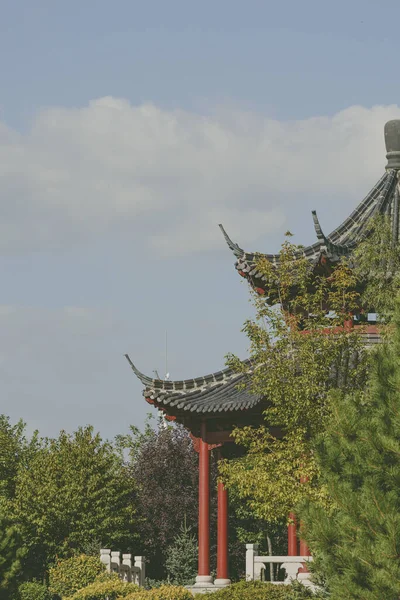 Een Verticaal Schot Van Een Aziatisch Gebouw Van Buiten Omringd — Stockfoto