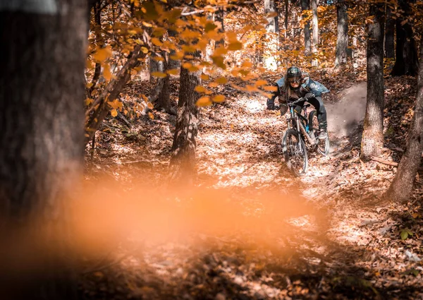 Beautiful Shot Man Riding Bicycle Wearing Hole Shot Punx Forest — Stock Photo, Image