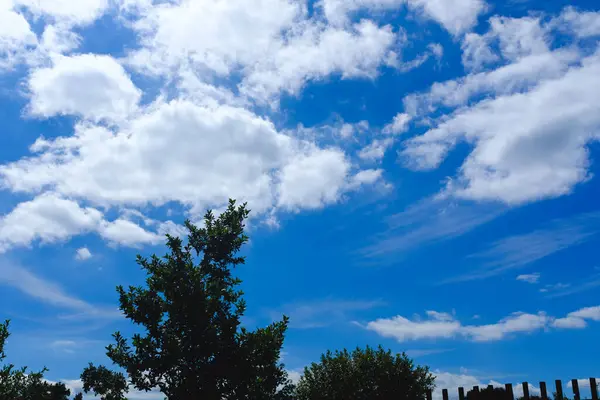 Белые Облака Ясном Голубом Небе Над Цветущей Растительностью — стоковое фото