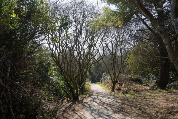 Uitzicht Het Parkpad Bij Het Wheal Martyn Clay Works Museum — Stockfoto