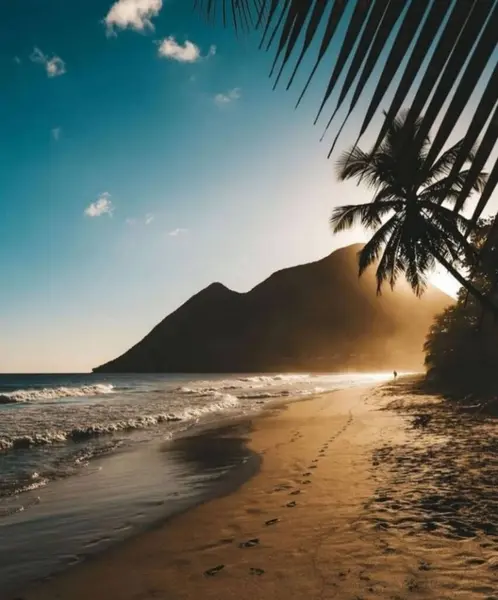 Eine Vertikale Aufnahme Eines Idyllischen Sandstrandes Mit Baumsilhouetten Und Einem — Stockfoto