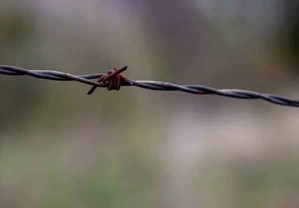 Ένα Ρηχό Πλάνο Εστίασης Από Σκουριασμένο Μέταλλο Babwire Θολή Φόντο — Φωτογραφία Αρχείου