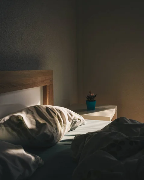 空のベッドの上に落ちる日光の垂直ショット ベッドサイドテーブルの植物 — ストック写真