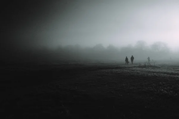 Серый Снимок Туманного Дня Уимблдоне Великобритания — стоковое фото